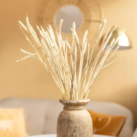 Lejlighed Paradise Zandvoort