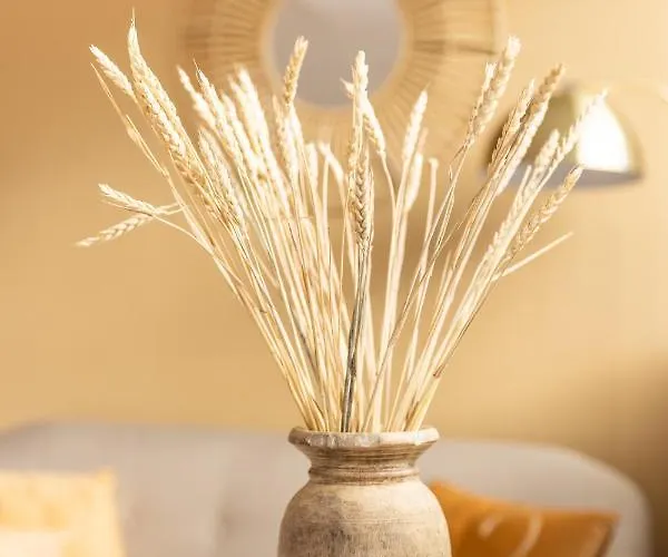 Appartement Paradise Zandvoort