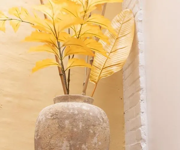 Appartement Paradise